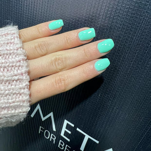 Meta Nail Color gel 21