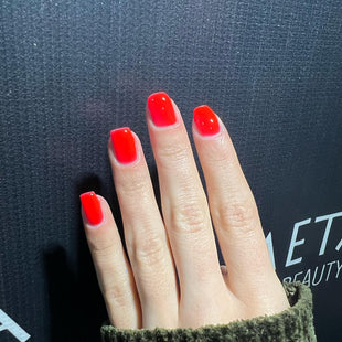 Meta Nail Color gel 142