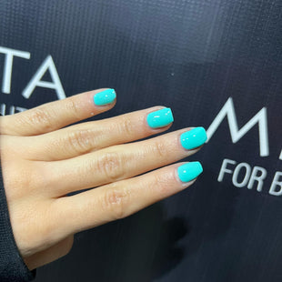 Meta Nail Color gel 69