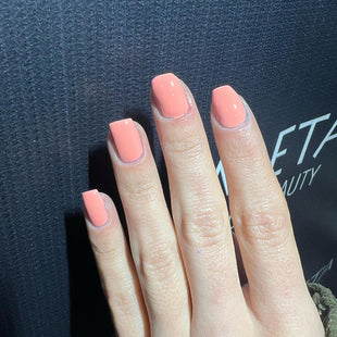 Meta Nail Color gel 43