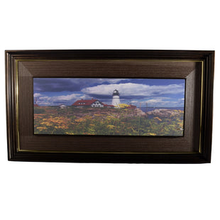 Trademark Fine Art ALI3940-W1620BMF Maine Classic by Michael Blanchette Photography, Black Matte, Wood Frame