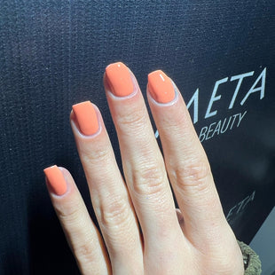 Meta Nail Color gel 32