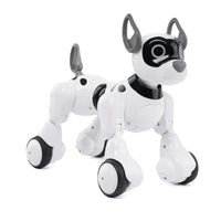 Remote Control Robot Dog Toy, Robots for Kids, Rc Dog Robot Toys for Kids 3,4,5,6,7,8,9,10 Year olds and up, Smart & Dancing Robot Toy, Imitates Animals Mini Pet Dog Robot