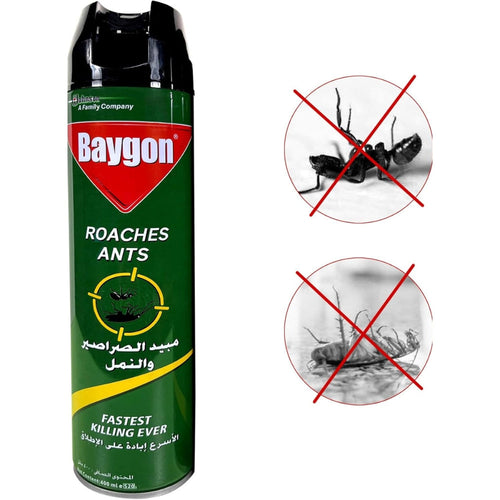 Baygan Roaches Fastest Ants Killing Spray, 400ML