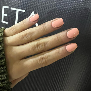 Meta Nail Color gel 31