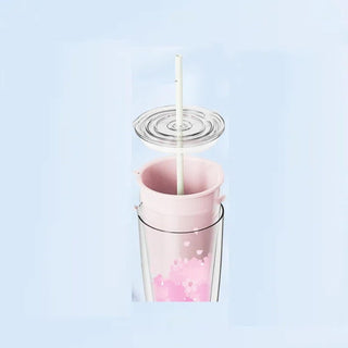 Plastic straw double layer water cup-Kitchen-