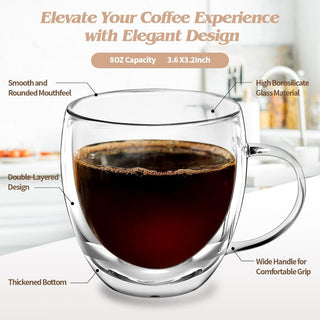 Double Wall Glass Coffee Mug
