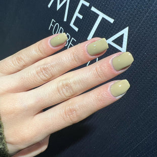 Meta Nail Color gel 169