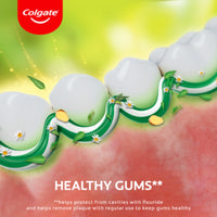 Colgate Herbal Strong Teeth & Healthy Gums Toothpaste - 100ml