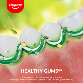Colgate Herbal Strong Teeth & Healthy Gums Toothpaste - 100ml