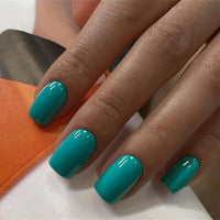 Poly Gel Meta Nail color 9