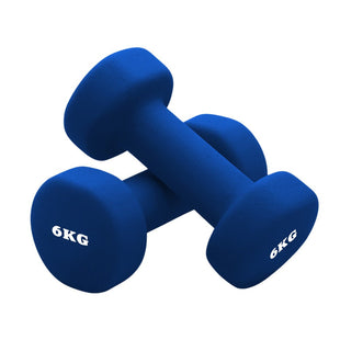 Basics Neoprene Coated Dumbbell Hand Weight(1pcs) 6kg
