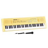 Bigfun Electronic Keyboard 61 Keys USB BF-6138C