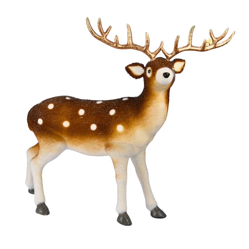 Brown Deer Premium