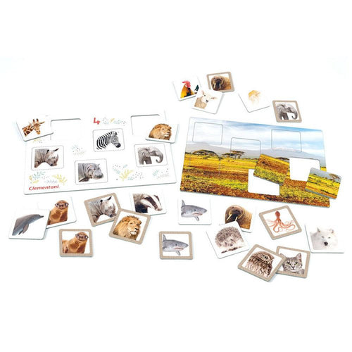 Clementoni Little Scientist-Where Do They Live, Multicolored