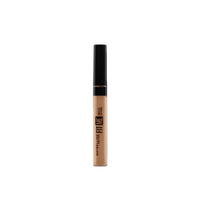 Fit Me Concealer