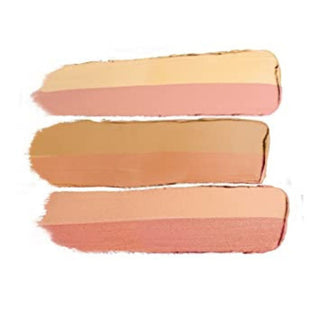 Maybelline Master Camouflage Color Correcting Concealer Kit - 2 Medium