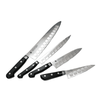 Professional Knife Sharpener