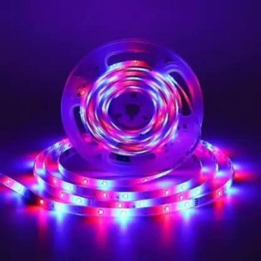 Qualstar 240 Leds 5 m Multicolor Color Changing Strip Rice Lights (Pack of 1)