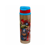 Stainless Steel Water Bottle with Cap