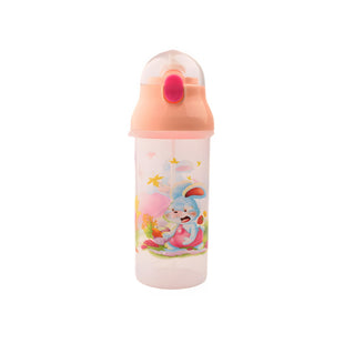 Starry Bunny Water Bottle 500ml
