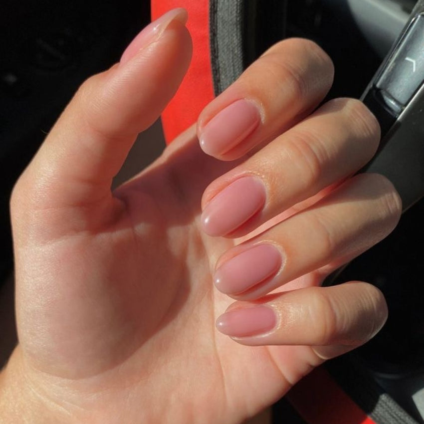 Extension Gel Meta Nail Color 11