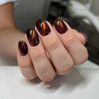 9D Cat Eye Gel Meta Nail Color 1