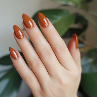Pumpkin Series Meta Nail Color 4