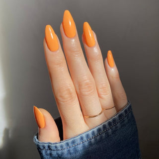 Pumpkin Series Meta Nail Color 7