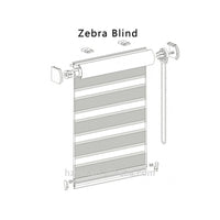 Zebra Blind Roll