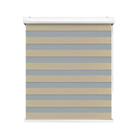 Zebra Blind Roll