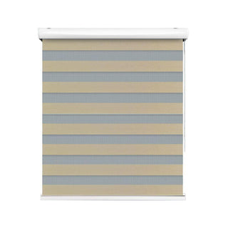 Zebra Blind Roll