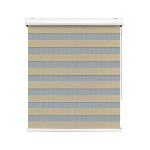 Zebra Blind Roll