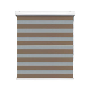 Zebra Blind Roll