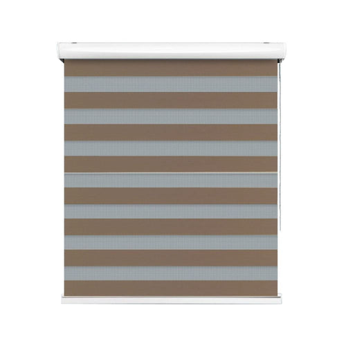 Zebra Blind Roll
