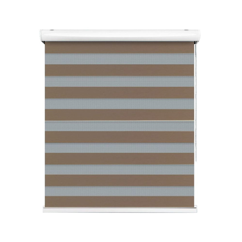 Zebra Blind Roll